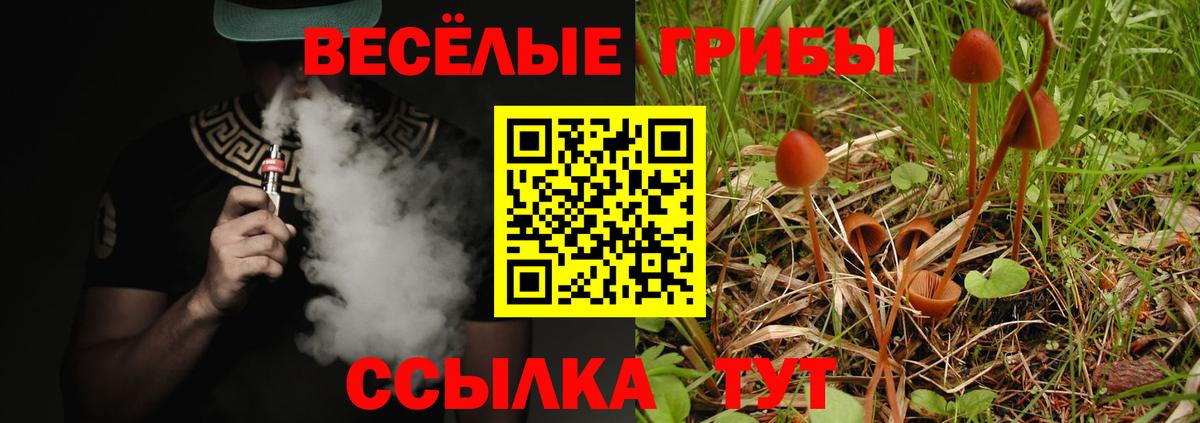 Псилоцибиновые грибы MAGIC MUSHROOMS Дивногорск