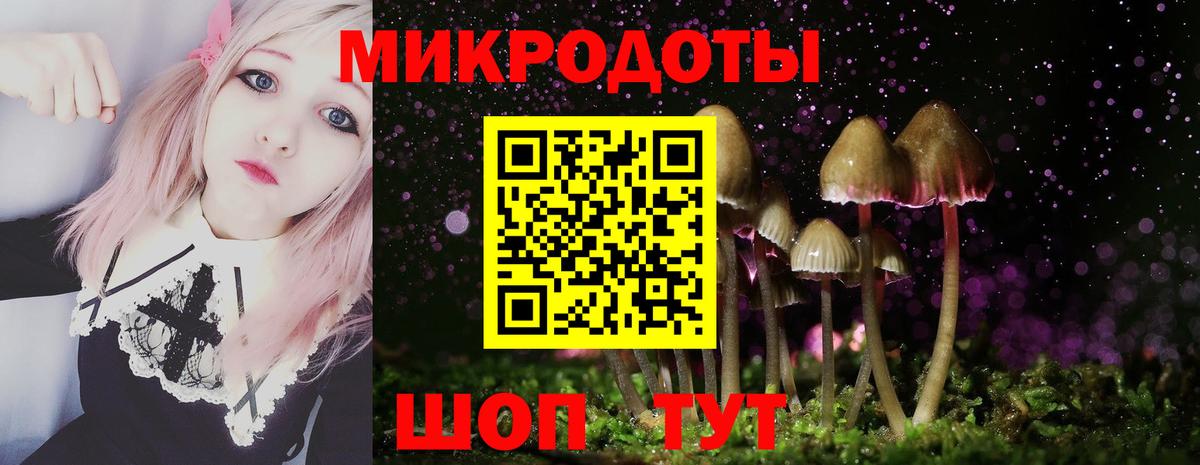Псилоцибиновые грибы мицелий  Вход с VPN  наркотики  Псилоцибиновые грибы Psilocybe  Дивногорск 